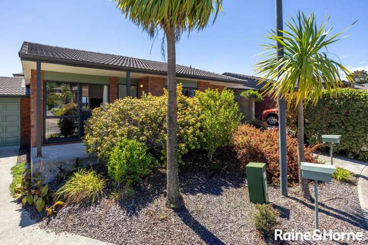 17/127 Boundary Road_3