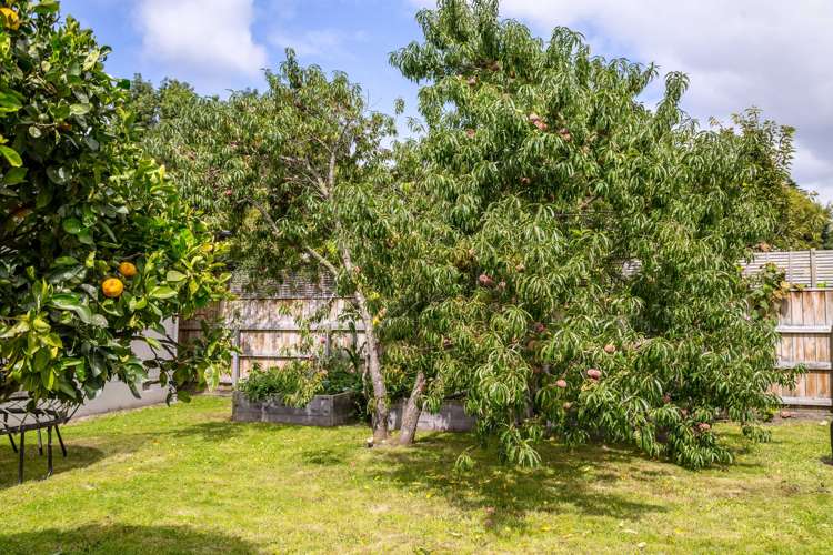 2437 State Highway 2 Greytown_21