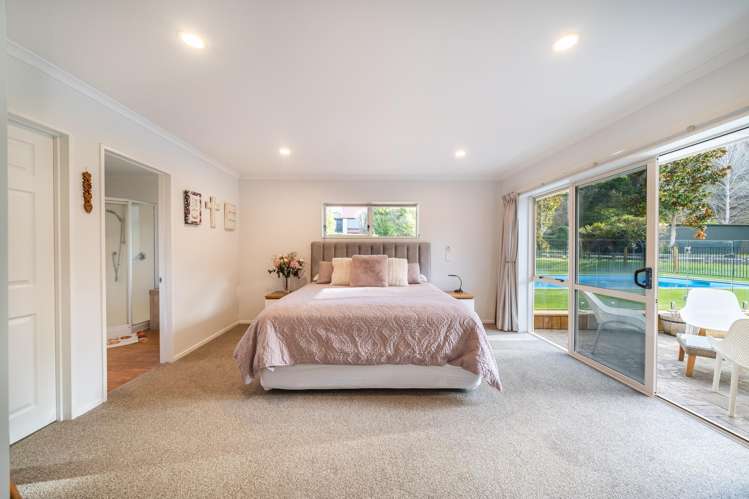 101 Emerald Hill Drive Birchville_22