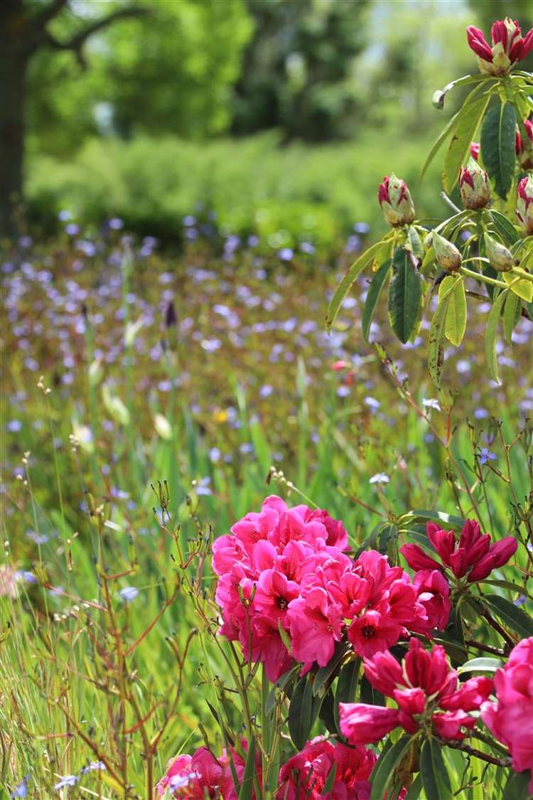 145 Hall Road Rangiriri_43