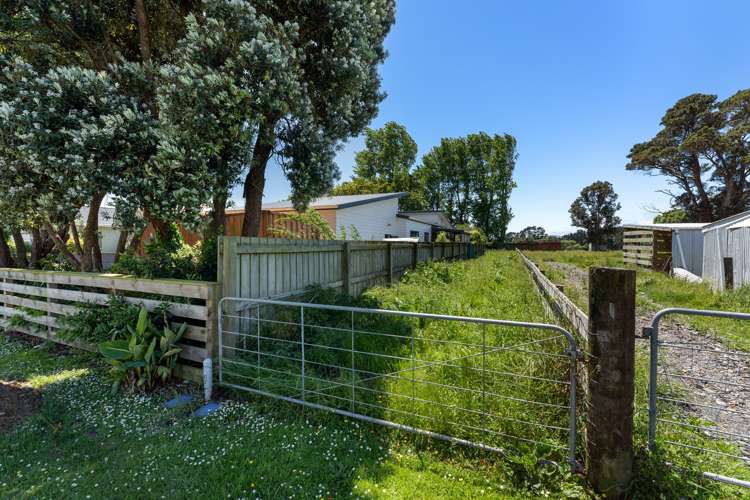 93a Stafford Street Shannon_2