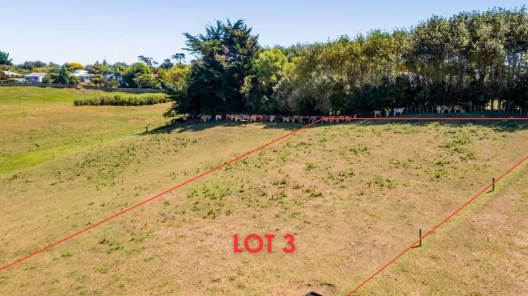 0n Douglas Street Sections Hawera_5