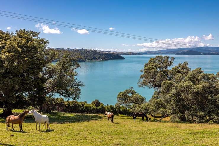 The Te Matuku Peninsula estate of Sir Rob Fenwick is one of the few remaining large land holdings left on Waiheke Island. Photo / Supplied