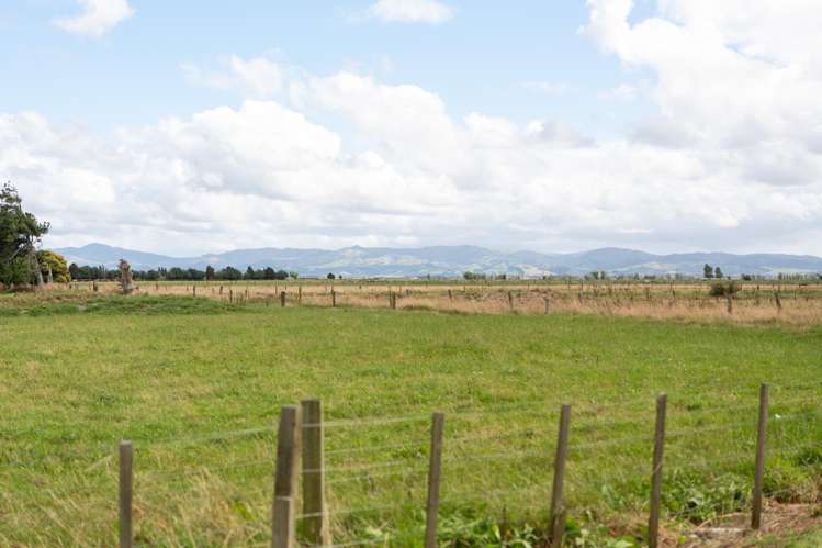 64 Darlington Street Ngatea_29