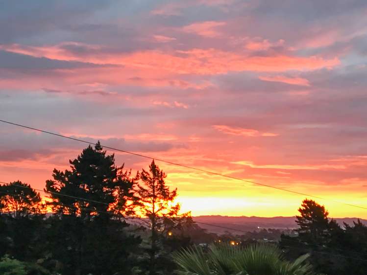 188 Upper Harbour Drive Greenhithe_24