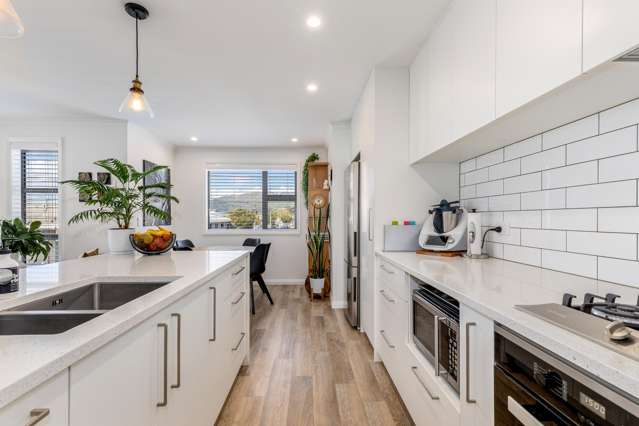 THREE BEDROOMS AND VIEWS IN THE HEART OF PETONE