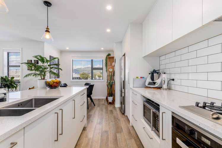 1 Lucern Lane Petone_0