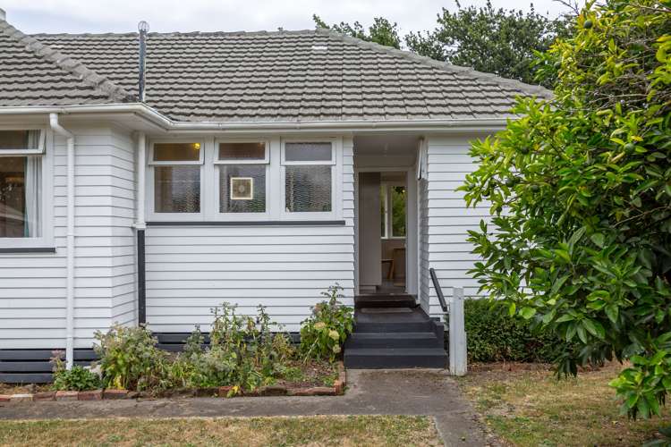 163 East Street Greytown_12