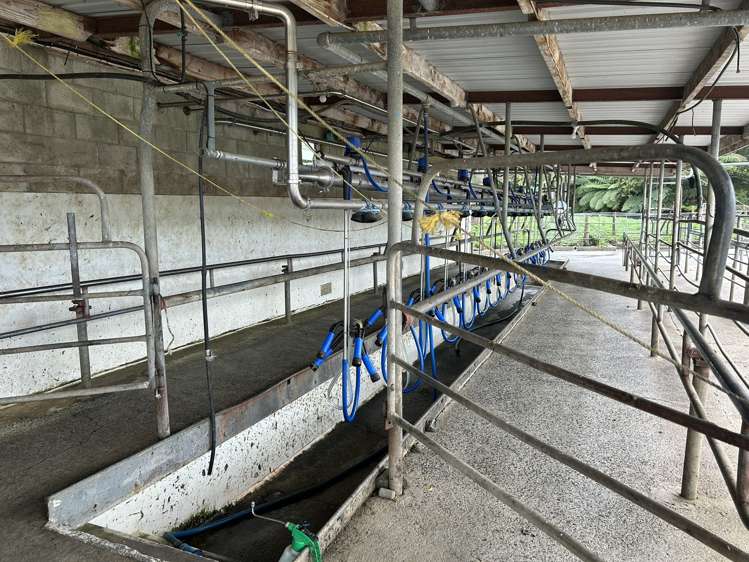 582 Paterangi Road Te Awamutu_14