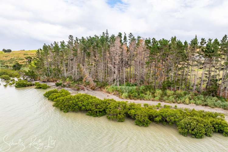 339 Heatley Road Whakapirau_38