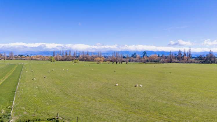 3962 State Highway 2 Takapau_19