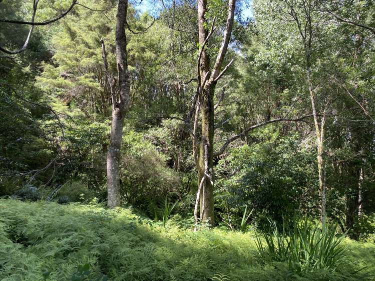 Upper Buller Inangahua Reefton Buller Rural Property For