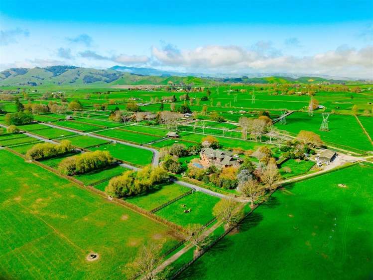 122 Rotoorangi Road Cambridge_4