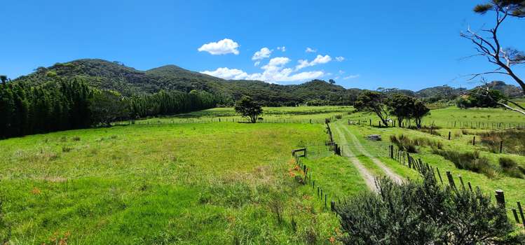 54 Mason Road Great Barrier Island (Aotea Island)_5