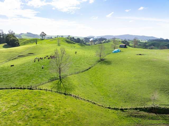 236 Taotaoroa Road Matamata_2