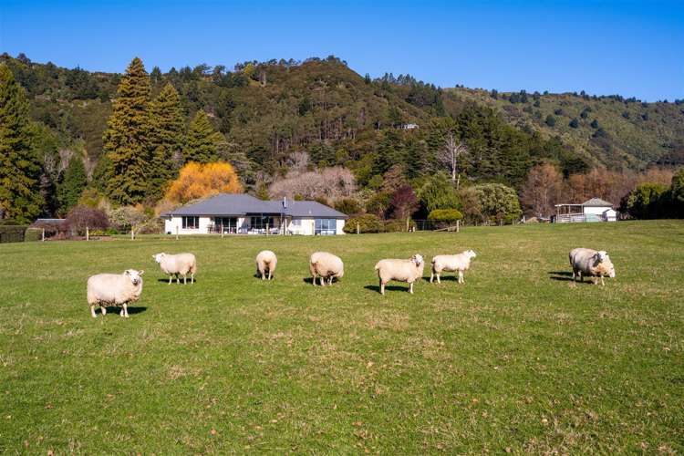 18 Hillwood Drive Wakapuaka_8