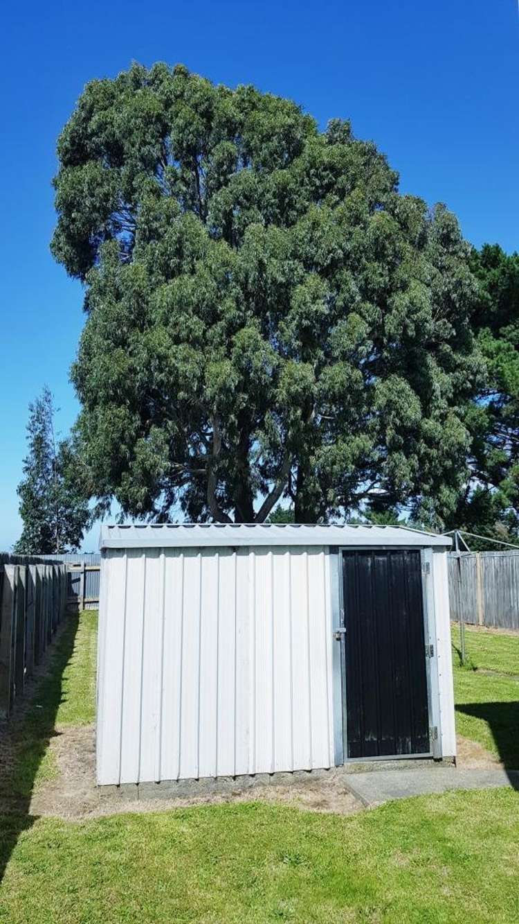 A/483 Yarrow Street 10545_14