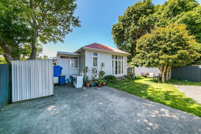 141 Hendon Avenue Mount Albert_1