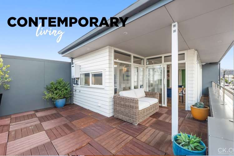 47 Richmond Street Petone_0