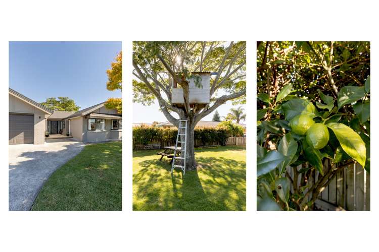 3 Links View Drive Omokoroa_13