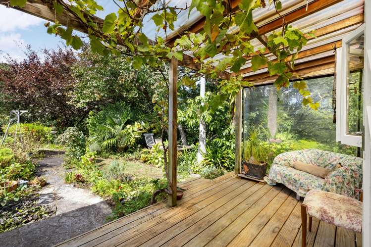 3 Rose Street Raglan_27