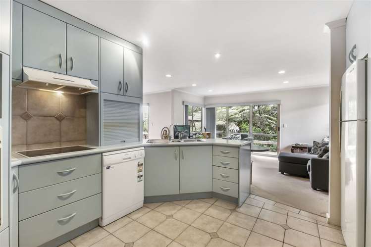 6 Pounamu Avenue Greenhithe_7