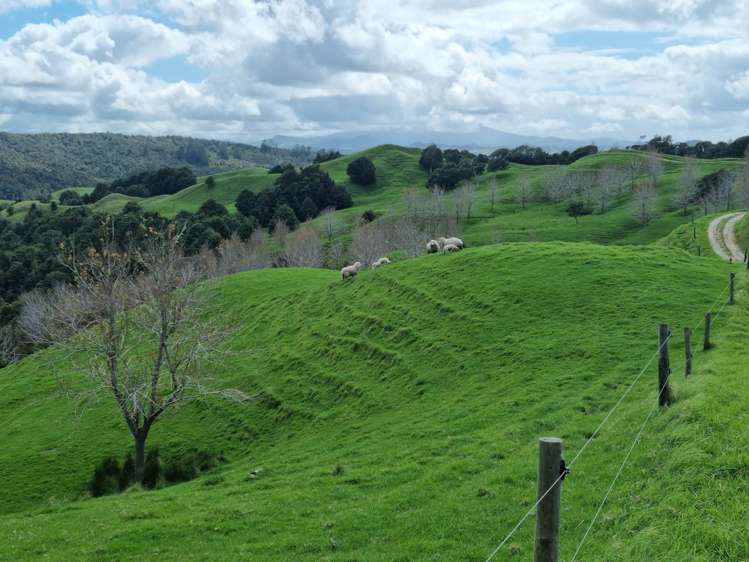 1906 Pukehuia Road Arapohue_20