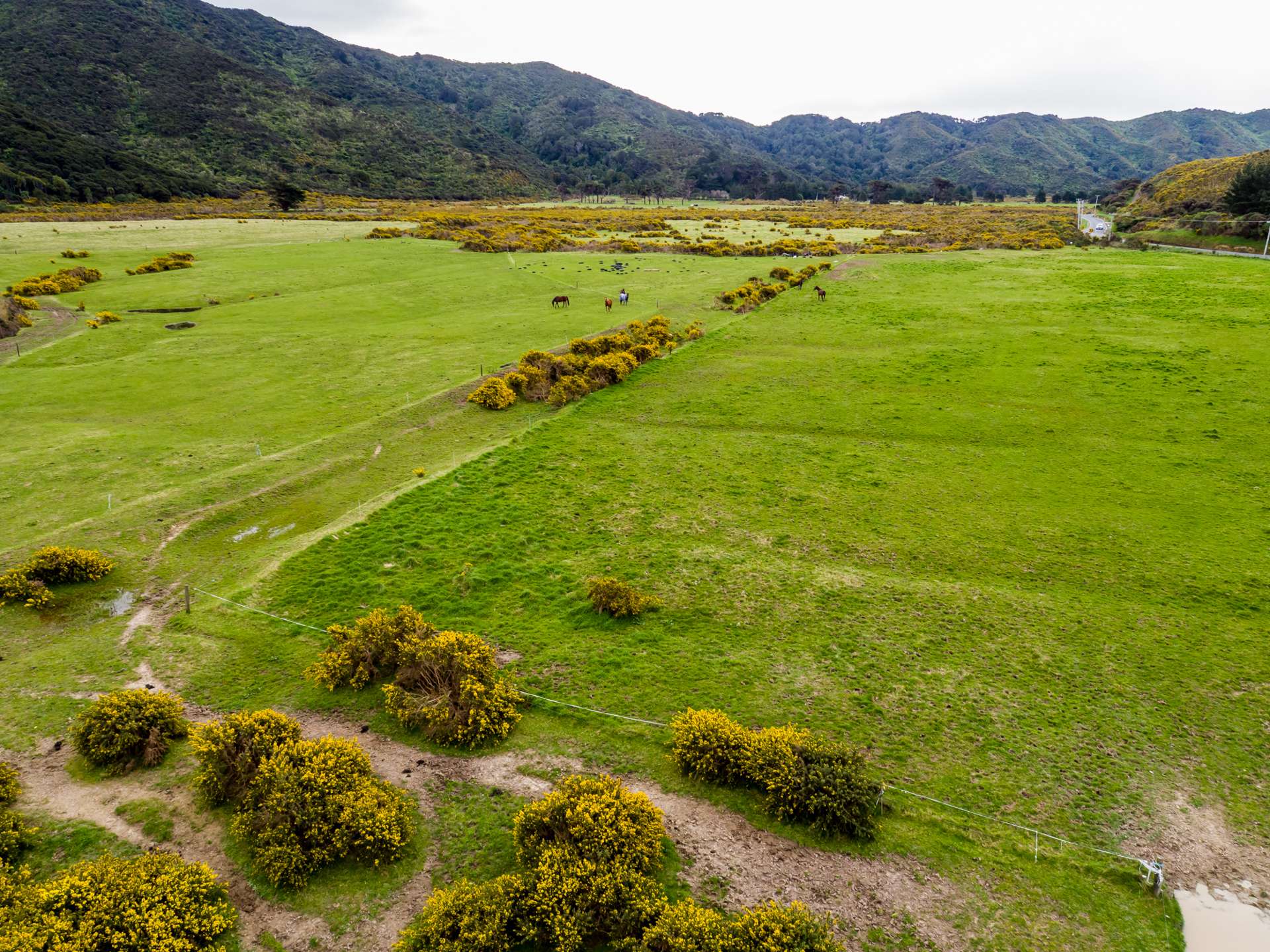 828 Coast Road Wainuiomata Coast_0