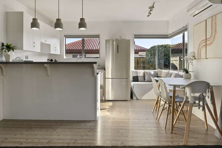 4b Palm Avenue Stoke_5