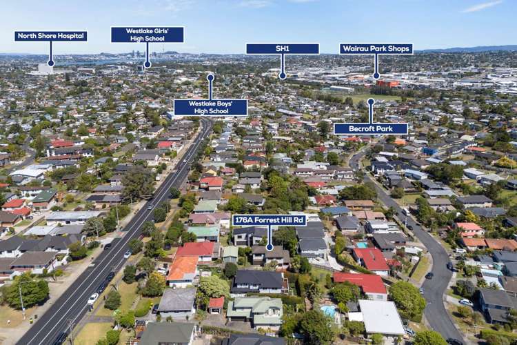 176A Forrest Hill Road Forrest Hill_24