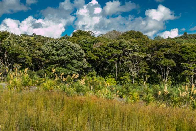 5 Bight Road Long Bay_8