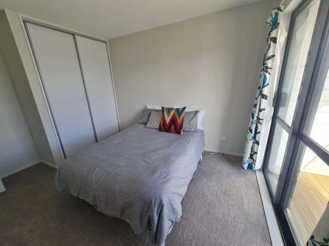 3 Irving Place Hobsonville_3