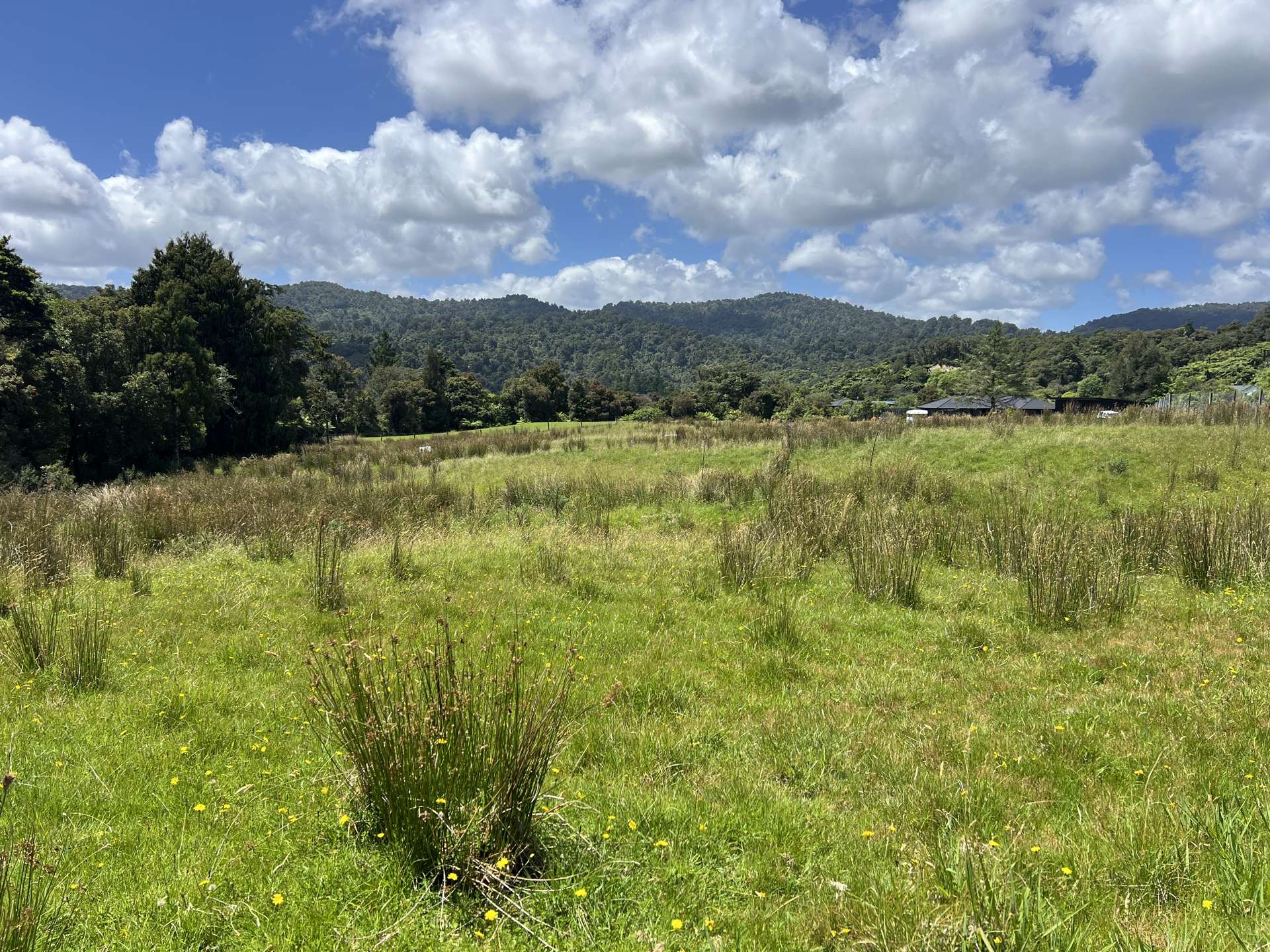 8 Aorangi Drive Greymouth_0