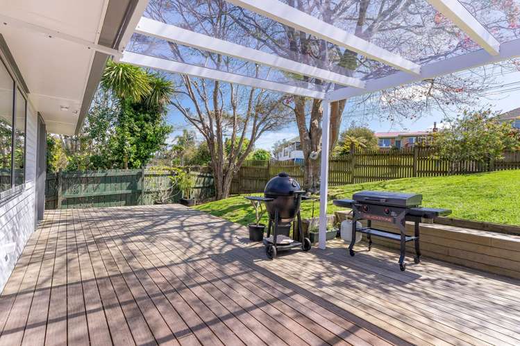 64 Taupo Street Green Bay_8