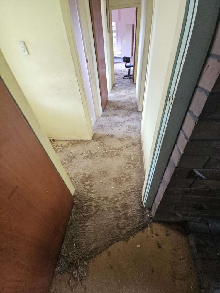 40 Zealandia Road Manly_8