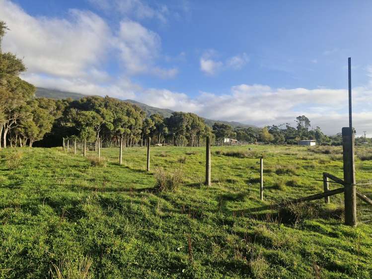 2/127 Powerhouse Road Westport_6