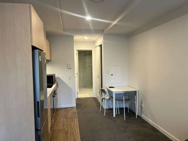 309A/428 Dominion Road 1728_2