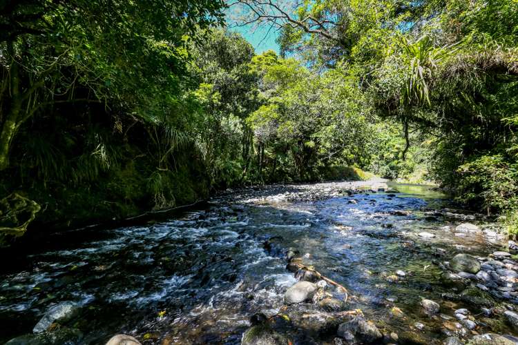 31c Timandra Street Welbourn_21