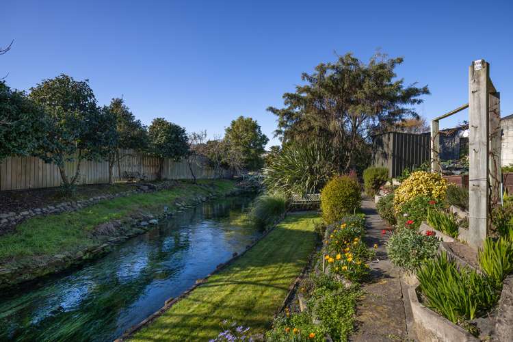 12 Colemans Road Springlands_16