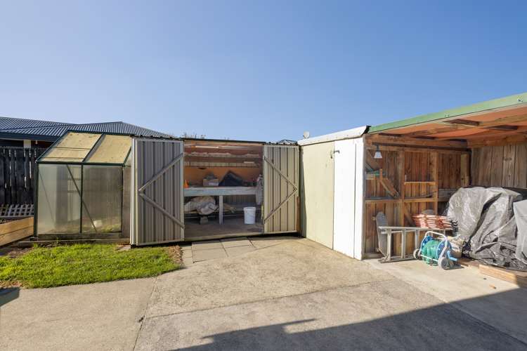 203b Maxwell Road Redwoodtown_11