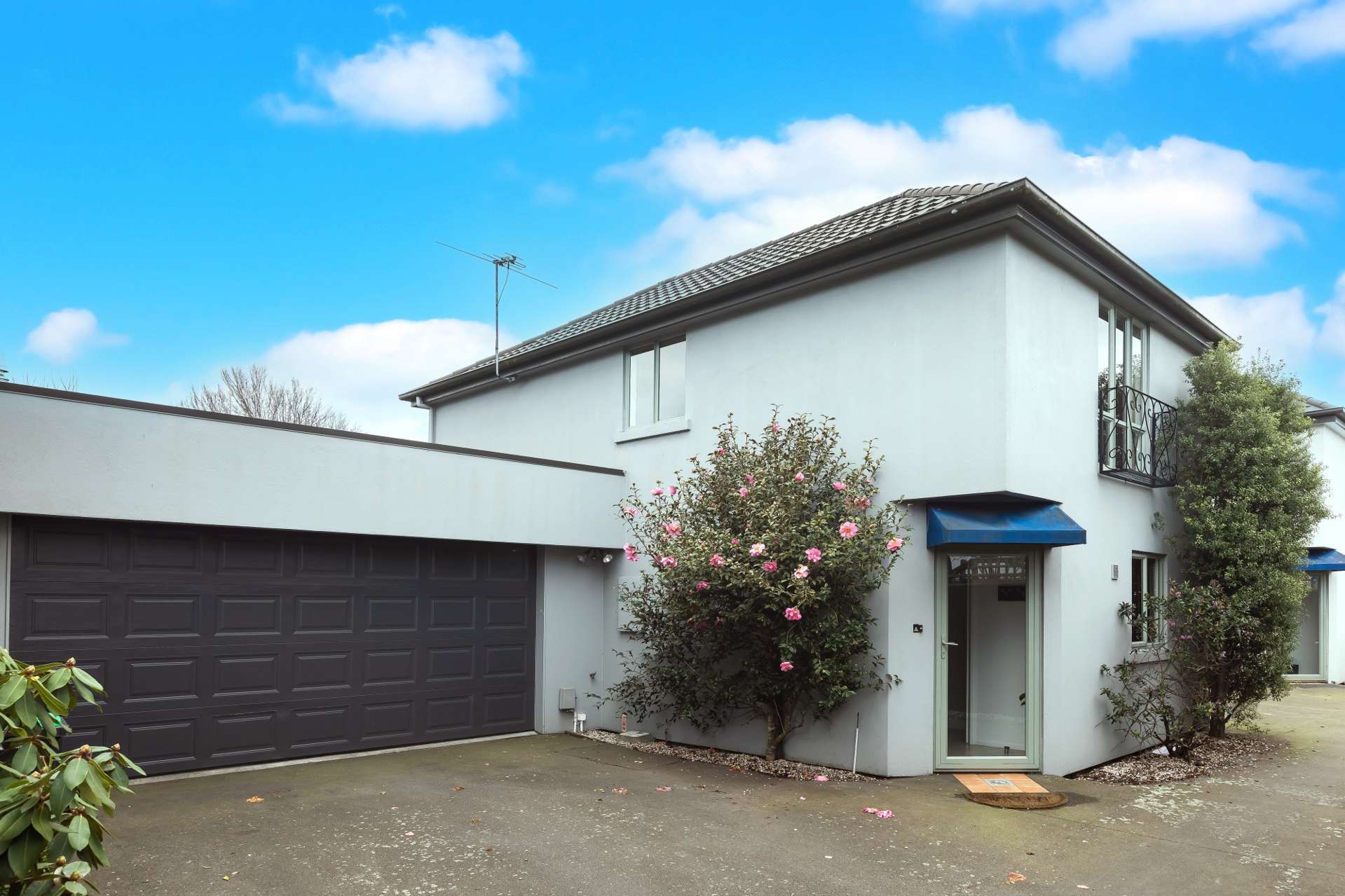 2a Antrim Street Sydenham_0