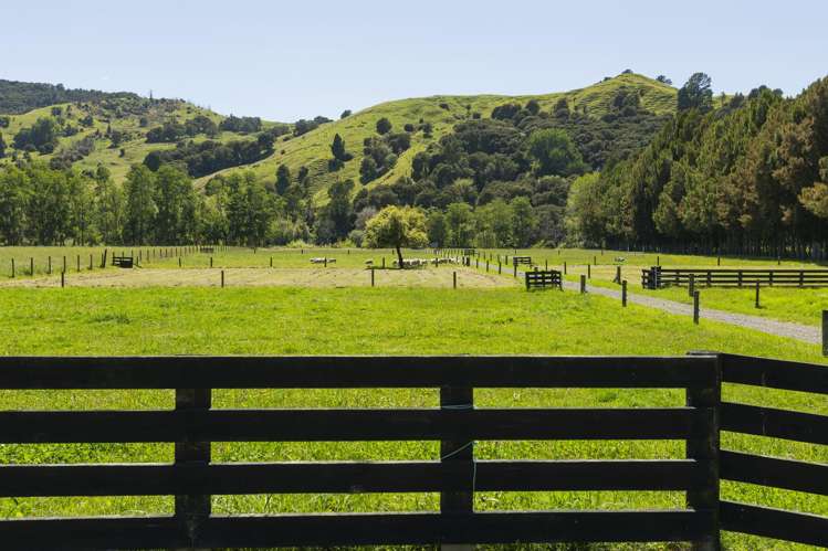 2388 Matawai Road Te Karaka_20