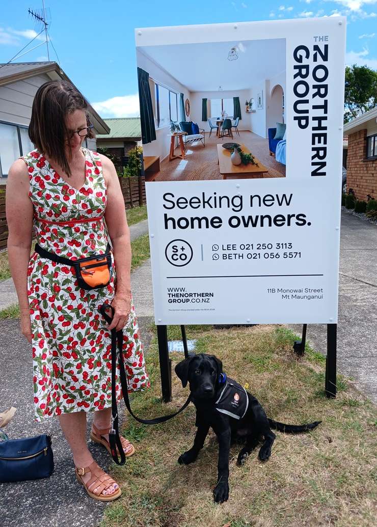 More than a dozen people and a guide dog crowded into the backyard to watch the Monowai Street auction. Photo / OneRoof