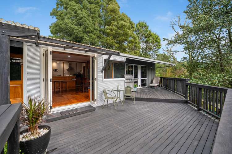 1204 No 3 Road Te Puke_3