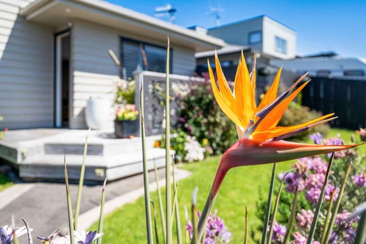 40A Bayfair Drive Mount Maunganui_21