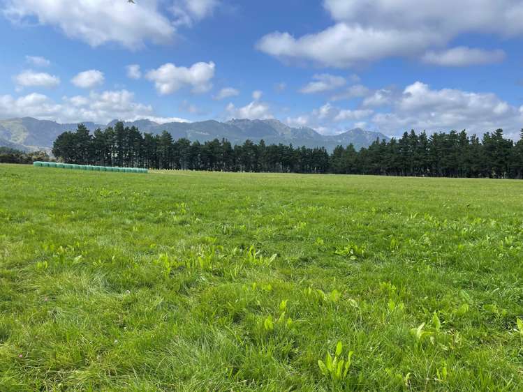 1405 Mangleton Road Central Hawkes Bay Country_6