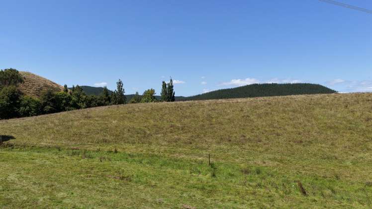 880 Kopuku Road Maramarua_8