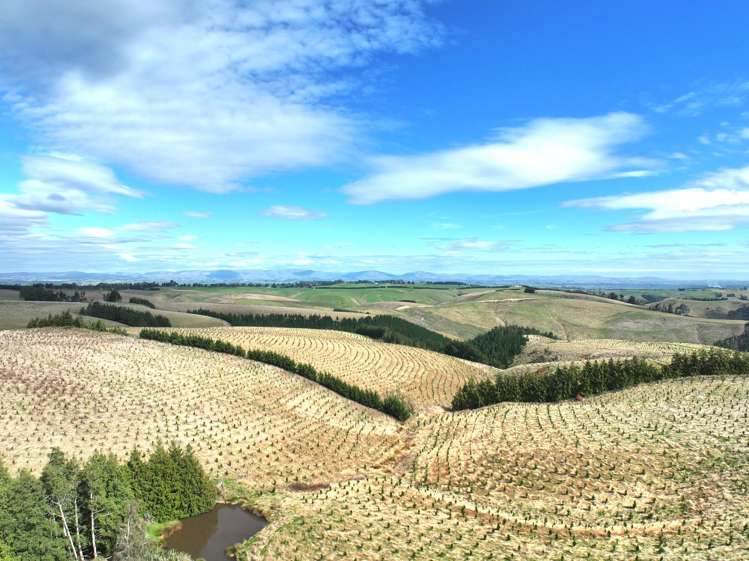 174 McCulloch Road Awamangu_18