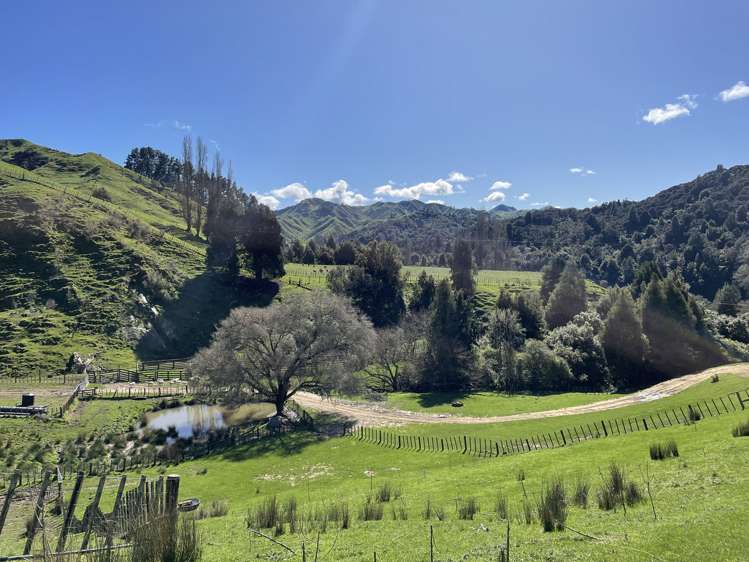 166 Saddler Road Ruapehu_9