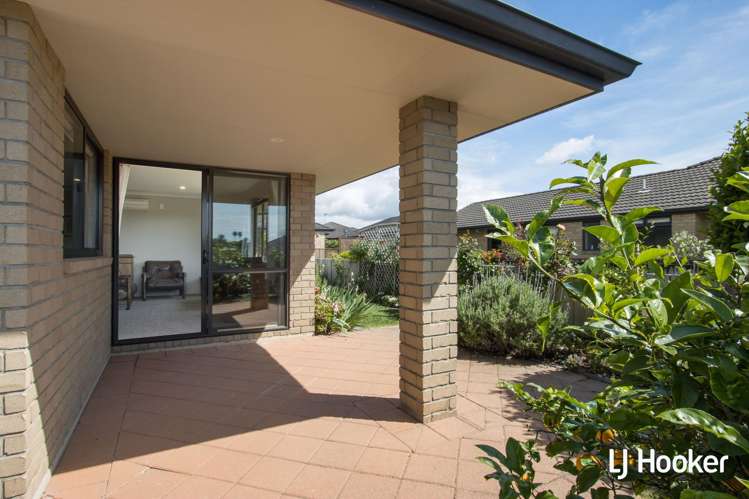 33 Malta Crescent Katikati_6